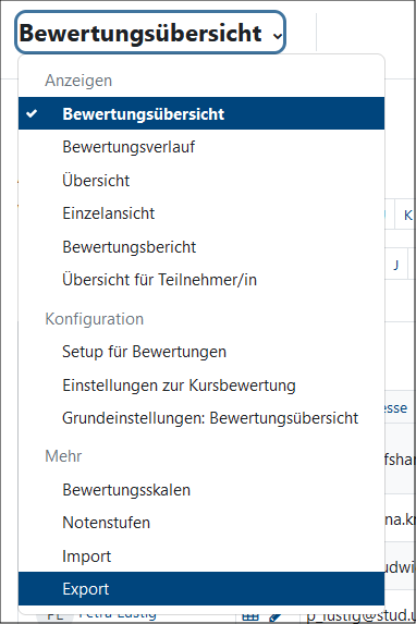 Abbildung des Menüs "Setup für Bewertungen" mit Markierung des Abschnitts zum Export in eine Datei